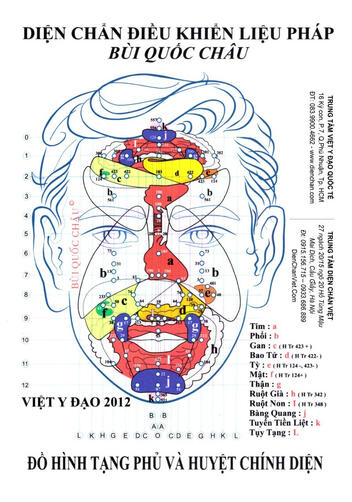Phản chiếu nội tạng
