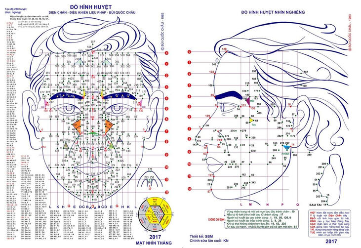 đồ hình diện chẩn